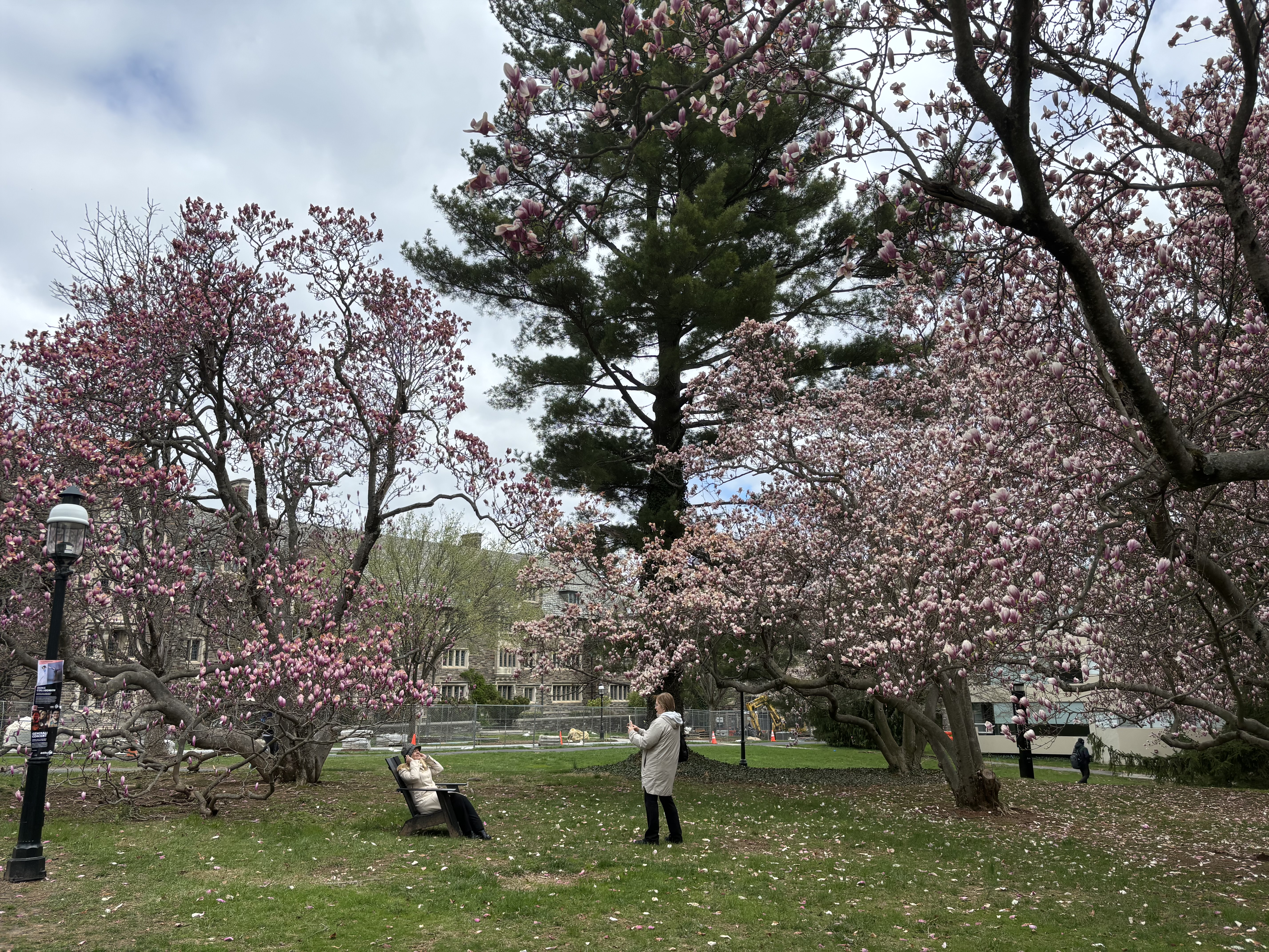 Tourists at Princeton